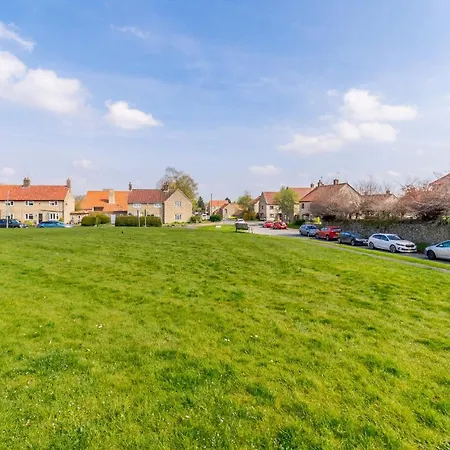 Ivy * ヘルムスリー