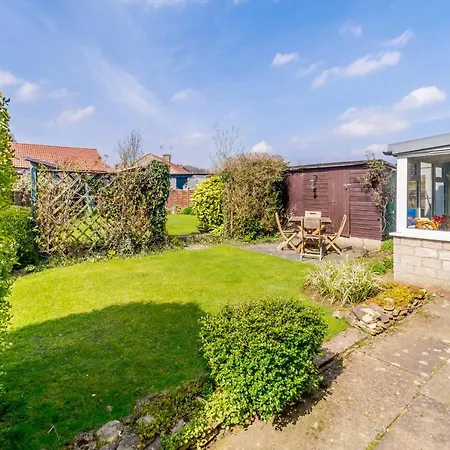 Ivy * ヘルムスリー