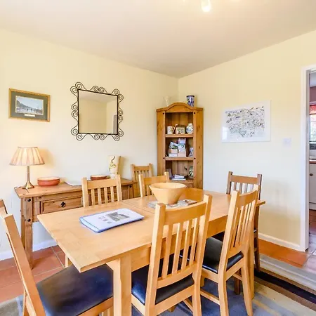 Ivy * 赫尔姆斯利